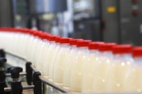 ВКО лидирует по производству молока в Казахстане