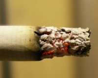 В Казахстане предложили ввести разрешение на курение