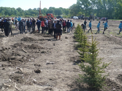 (+Фото) В новом парке на острове Полковничий высади 1700 саженцев