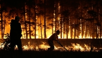 Информация о принимаемых мерах по вопросам  предупреждения и ликвидации лесостепных пожаров на территории ВКО