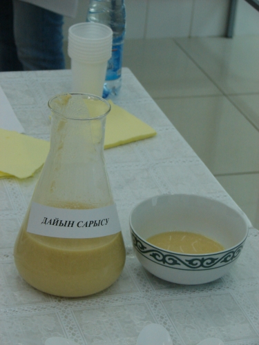 (+Фото) Ученые Семея изготовили установку по концентрированию молочной сыворотки