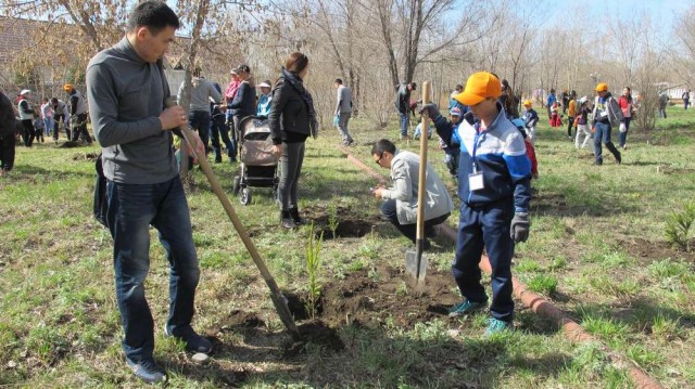 Более  200 саженцев сосны, ели и березы высадили в музее-заповеднике ВКО волонтеры ОФ «Нурлы Бастау»