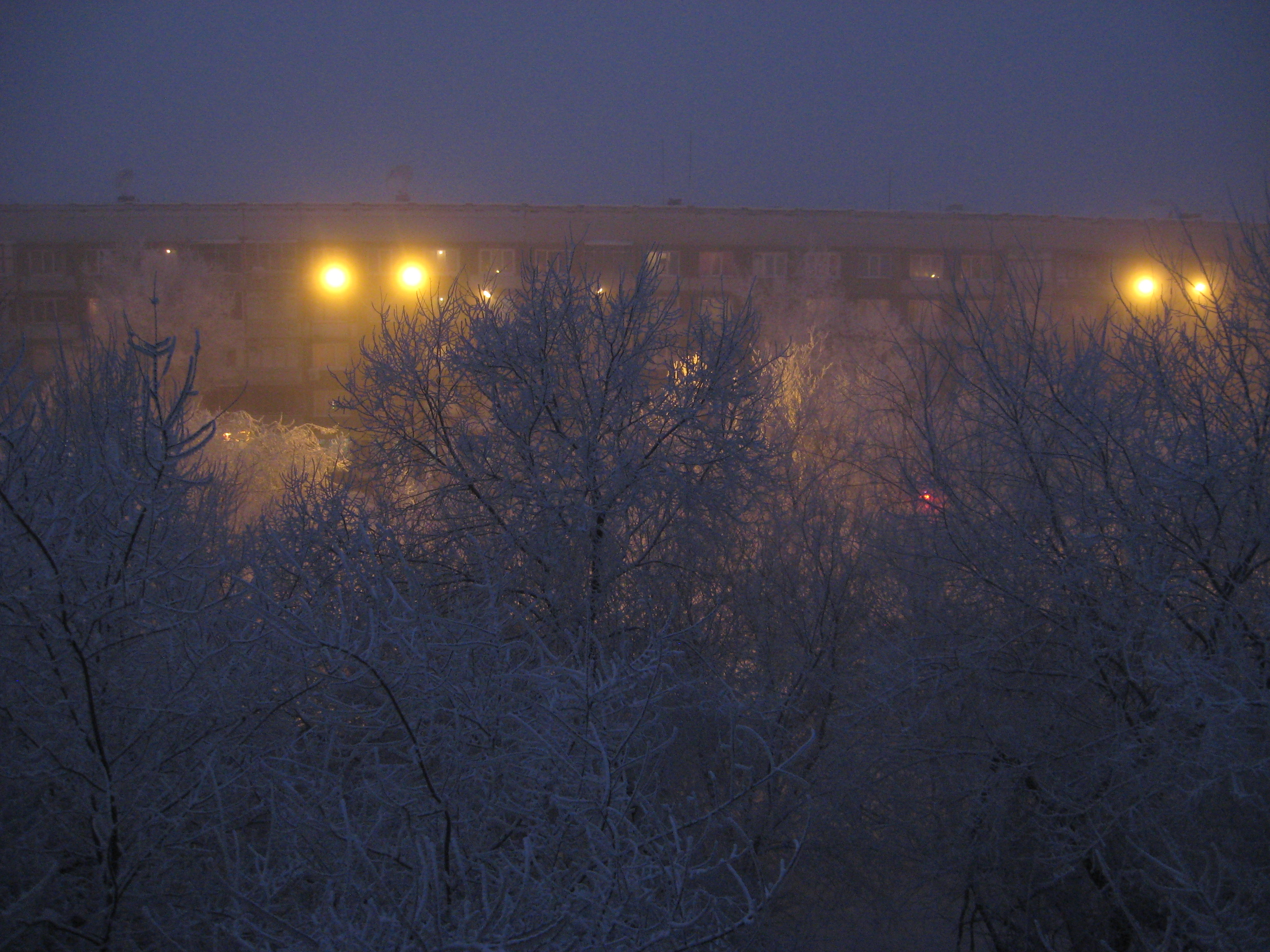 -40 oC вторую неделю