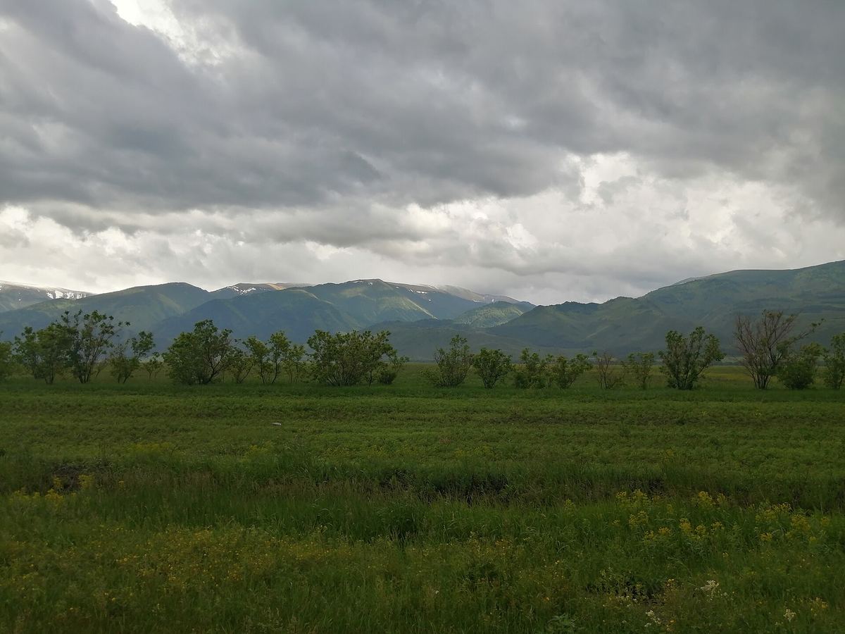 Катон-Карагайский район